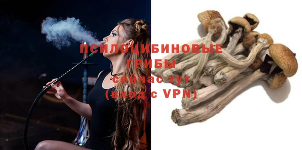 прущие крисы Баксан