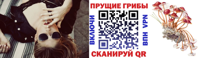 OMG как войти  где можно купить наркотик  Краснодар  Псилоцибиновые грибы ЛСД 